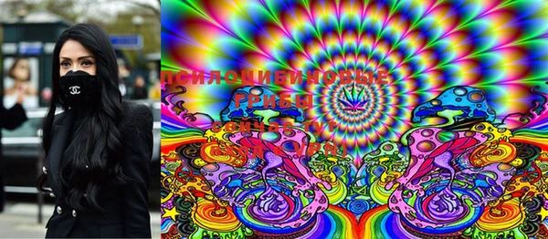 марки lsd Богородицк